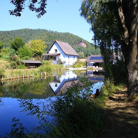Au Numero 6 Obersteinbach Buitenkant foto